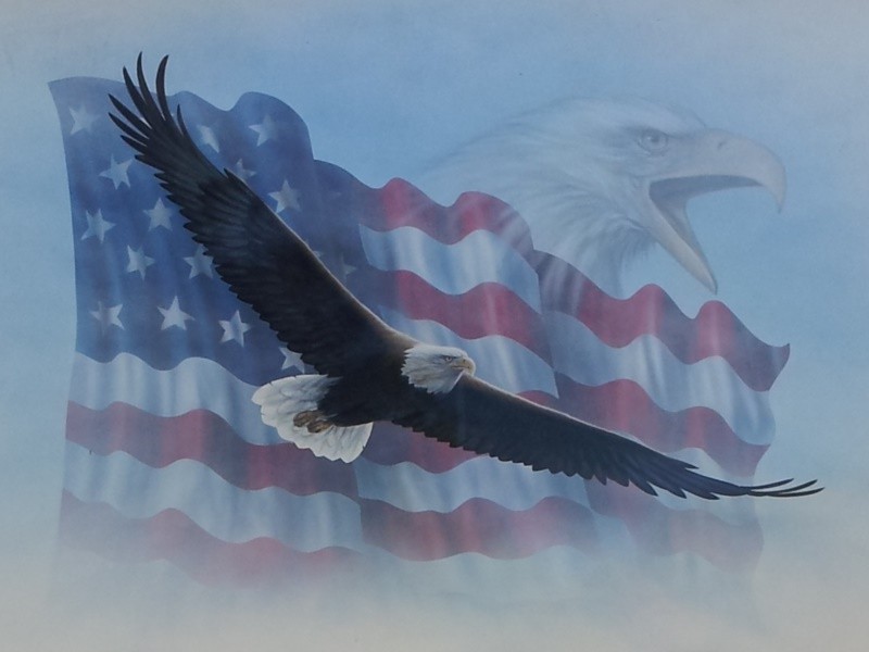 2001 Newmar Mountain Aire - 012