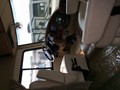 2014 Winnebago Vista 35B - 005