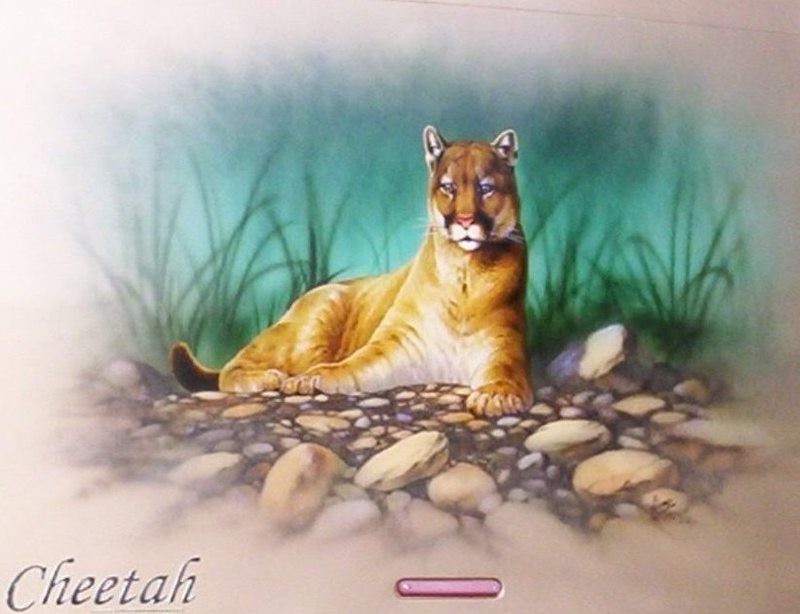 2005 Monaco Safari Cheetah 36PDD - 009