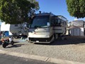 2005 Tiffin Allegro Bus 38TGP - 005